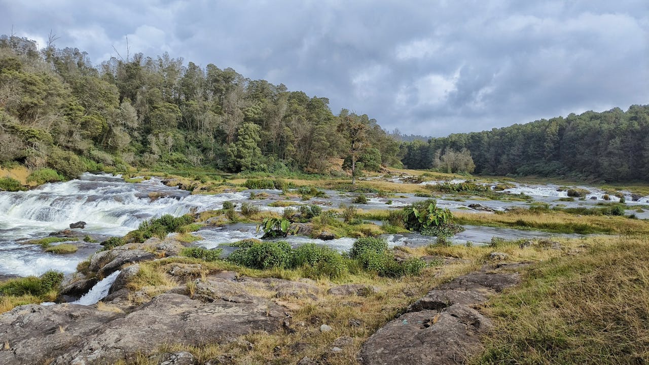 Ooty